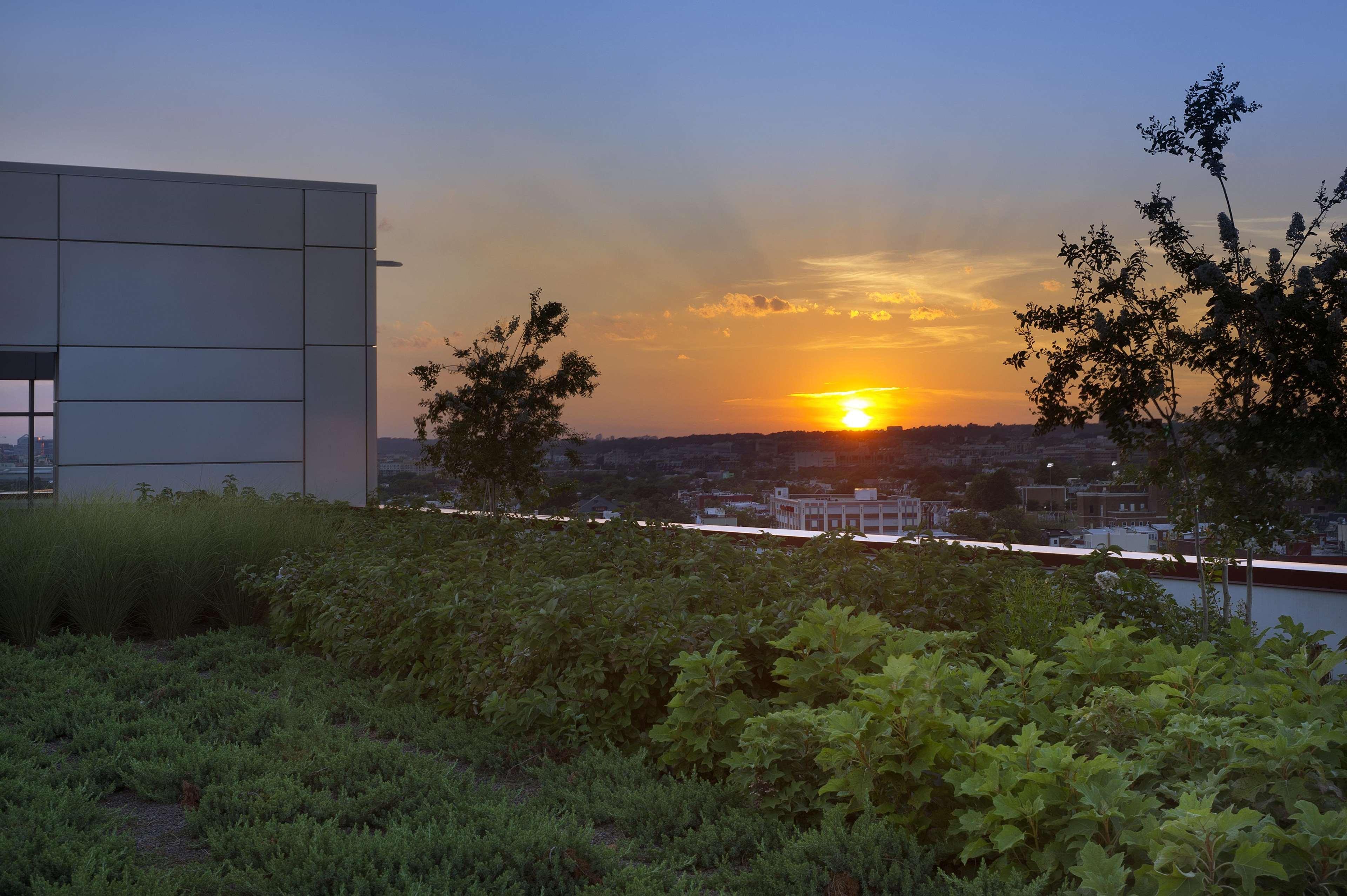 Homewood Suites By Hilton Washington Dc Noma Union Station Eksteriør bilde